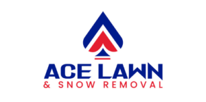 cropped logo.png
